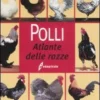 Polli