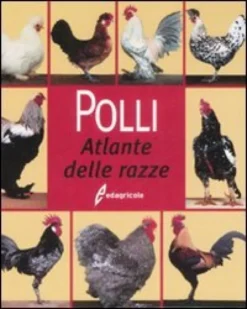 Polli