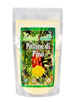 Polline di Pino