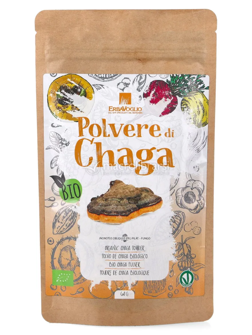 Polvere di Chaga Bio