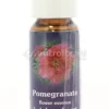 Pomegranate - Fiori californiani