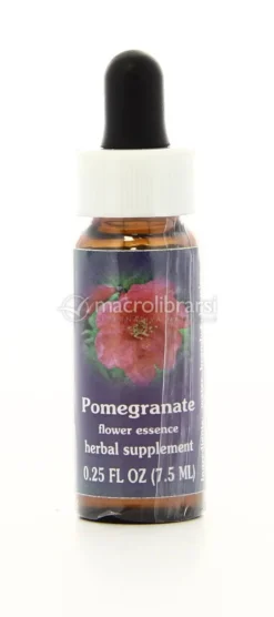 Pomegranate - Fiori californiani