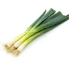 Porro Invernale Selezione Blu-Verde - 1 Nastro Preseminato
