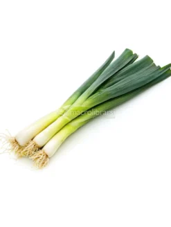 Porro Invernale Selezione Blu-Verde - 1 Nastro Preseminato