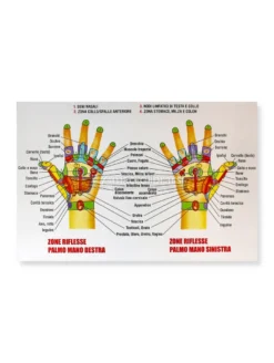 Poster - Mappa dei Punti della Riflessologia della Mano