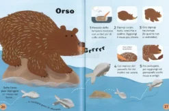 Prime Attività Creative - Animali