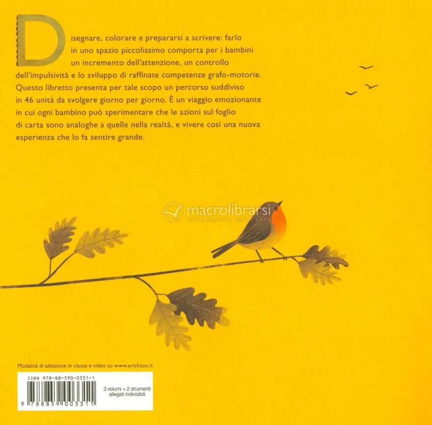 Primi Voli - Fare, Pensare, Contare
