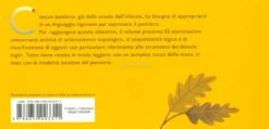 Primi Voli - Fare, Pensare, Contare