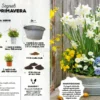 100 Progetti di Giardinaggio Semplicissimi