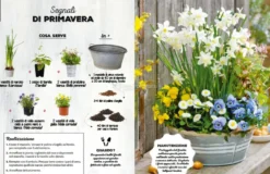 100 Progetti di Giardinaggio Semplicissimi
