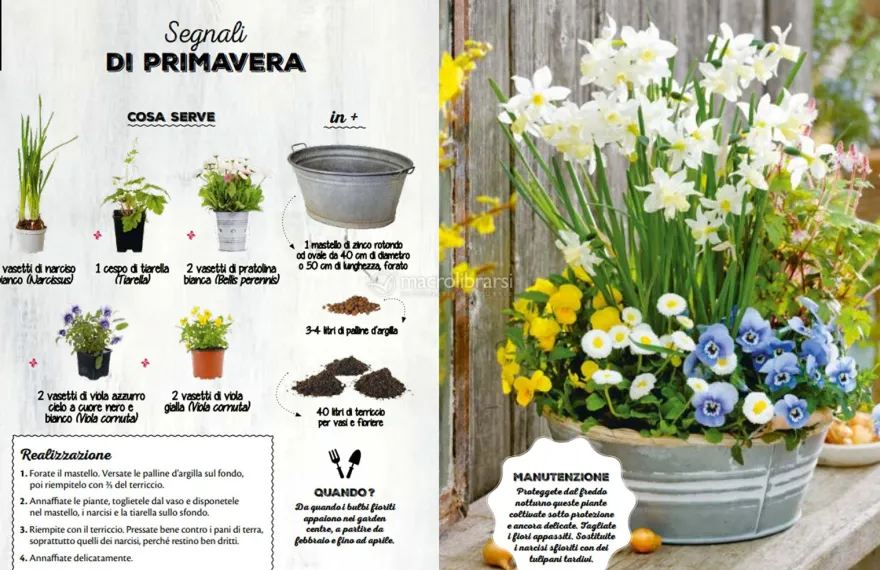 100 Progetti di Giardinaggio Semplicissimi