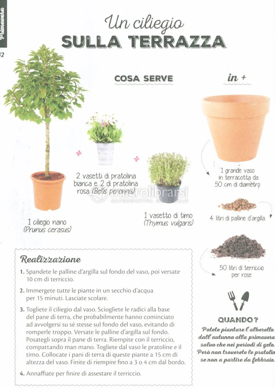 100 Progetti di Giardinaggio Semplicissimi