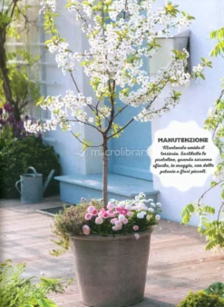 100 Progetti di Giardinaggio Semplicissimi