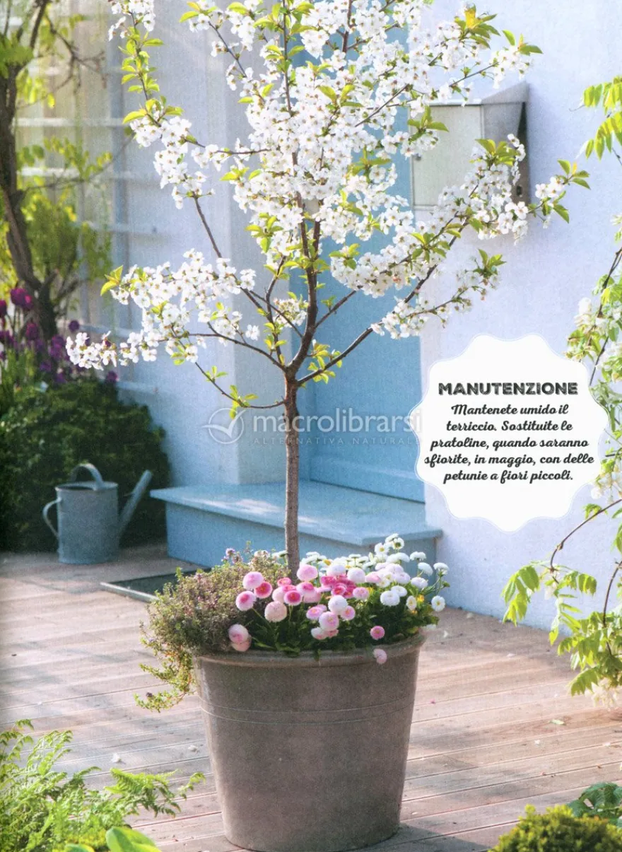 100 Progetti di Giardinaggio Semplicissimi