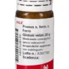 Prunus s. ferm c. Ferro Globuli Velati