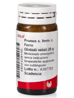 Prunus s. ferm c. Ferro Globuli Velati