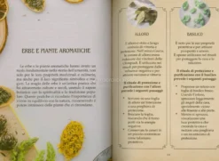 Purificazione