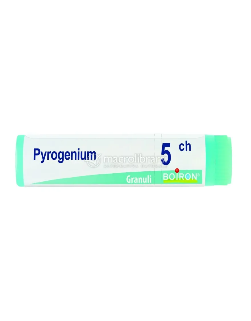 Pyrogenium 5CH Globuli Monodose Boiron