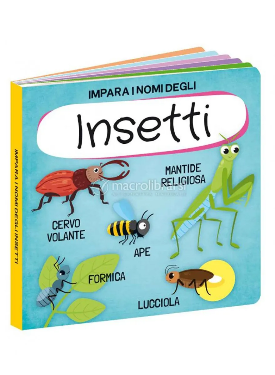 Q-Box Il Giardino degli Insetti