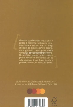 Quadernino 