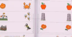Quaderno di Pregrafismo per Tutti e Tutte