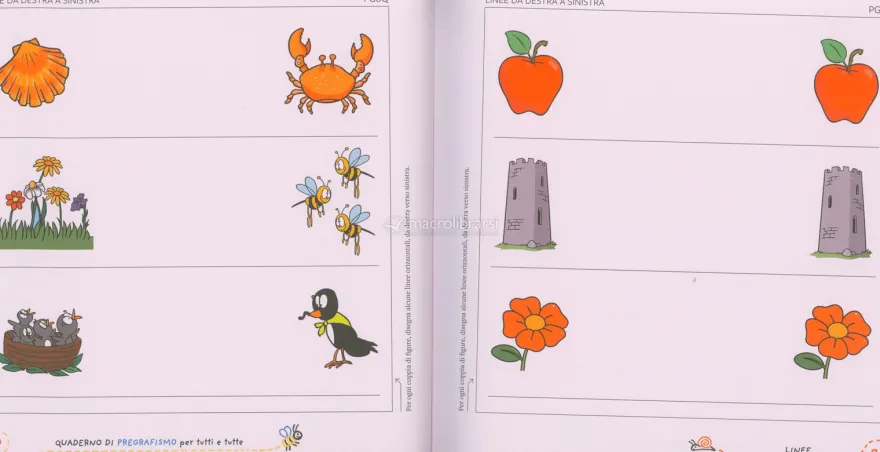 Quaderno di Pregrafismo per Tutti e Tutte