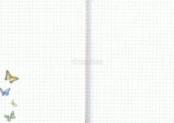 Quaderno di Viaggio - Camminare
