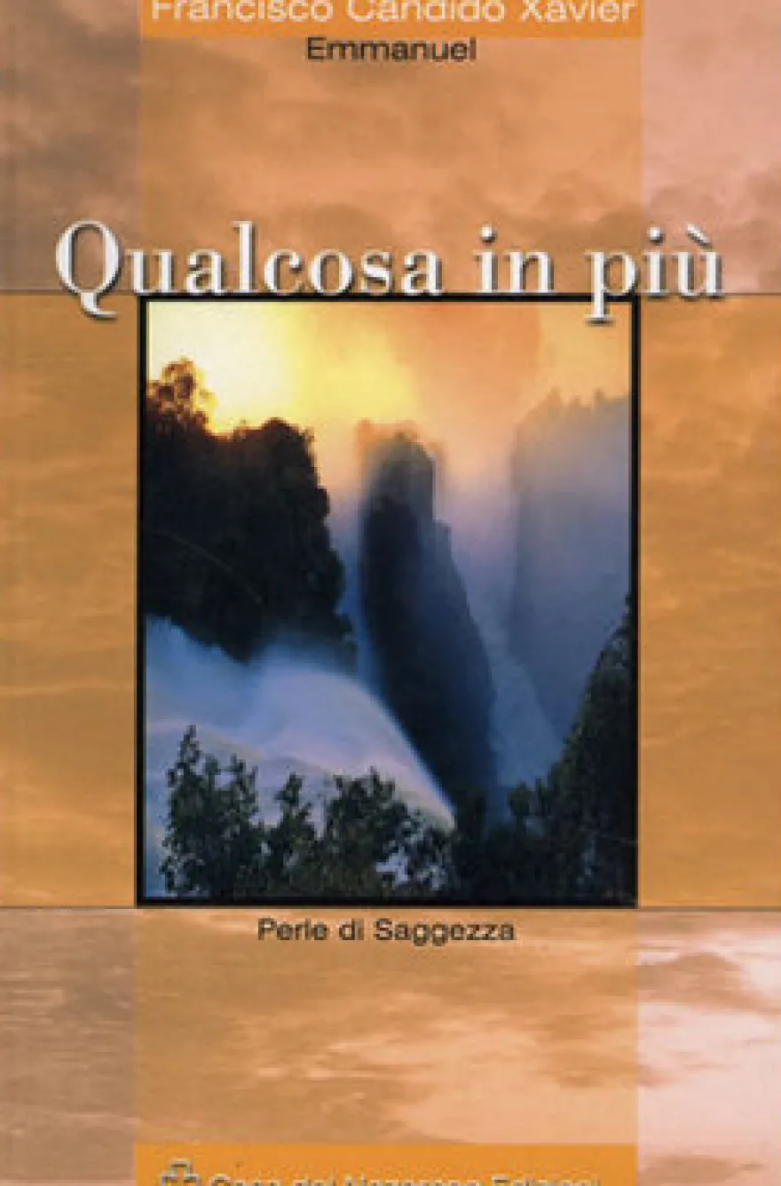 Qualcosa in Più