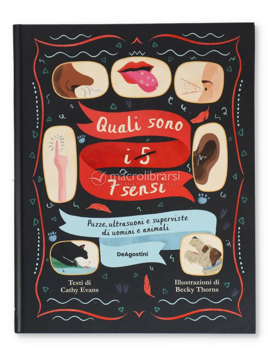 Quali Sono i 5-7 Sensi?