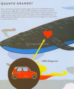 Quanto è Grande? Quanto è Lontano?