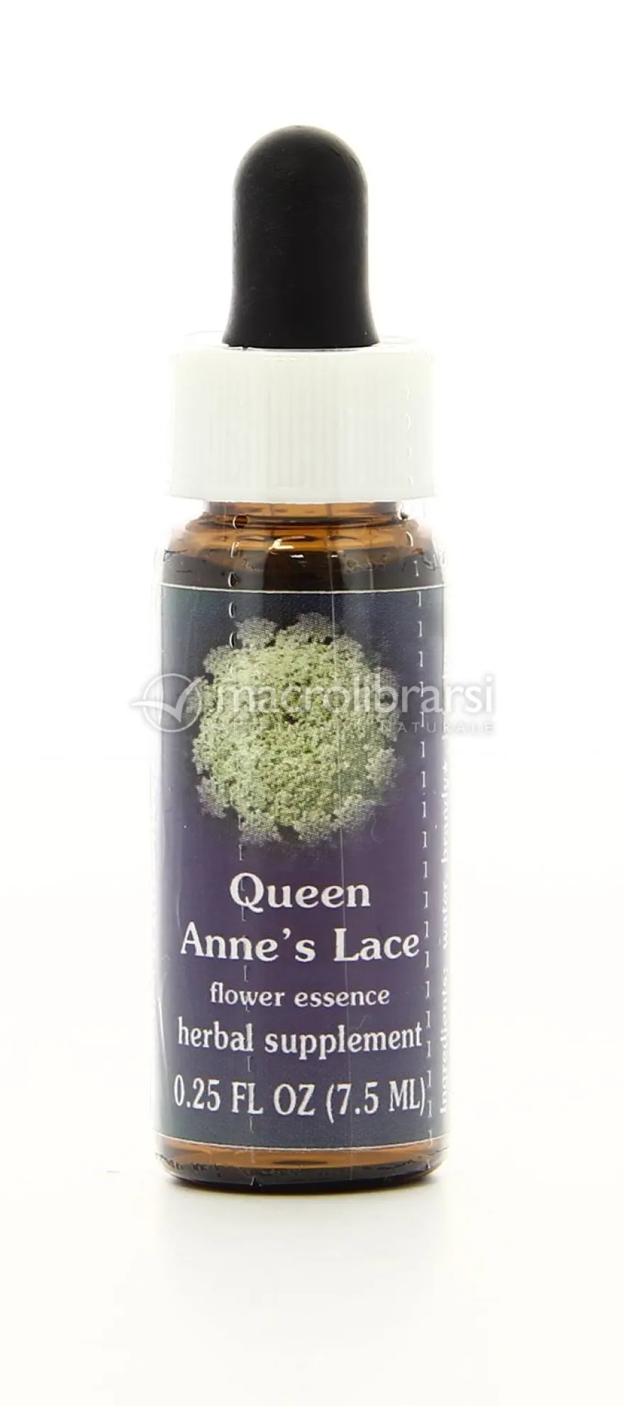 Queen Anne's Lace - Fiori californiani
