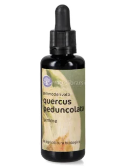 Quercus Peduncolata - Gemmoderivato - Gemme
