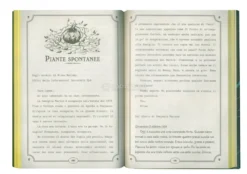 13 Racconti da Brividi