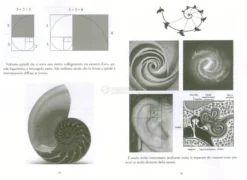 Radionica Grafica e Tridimensionale