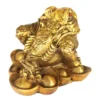 Rana dei Soldi Feng Shui