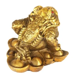 Rana dei Soldi Feng Shui