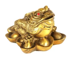 Rana dei Soldi Feng Shui