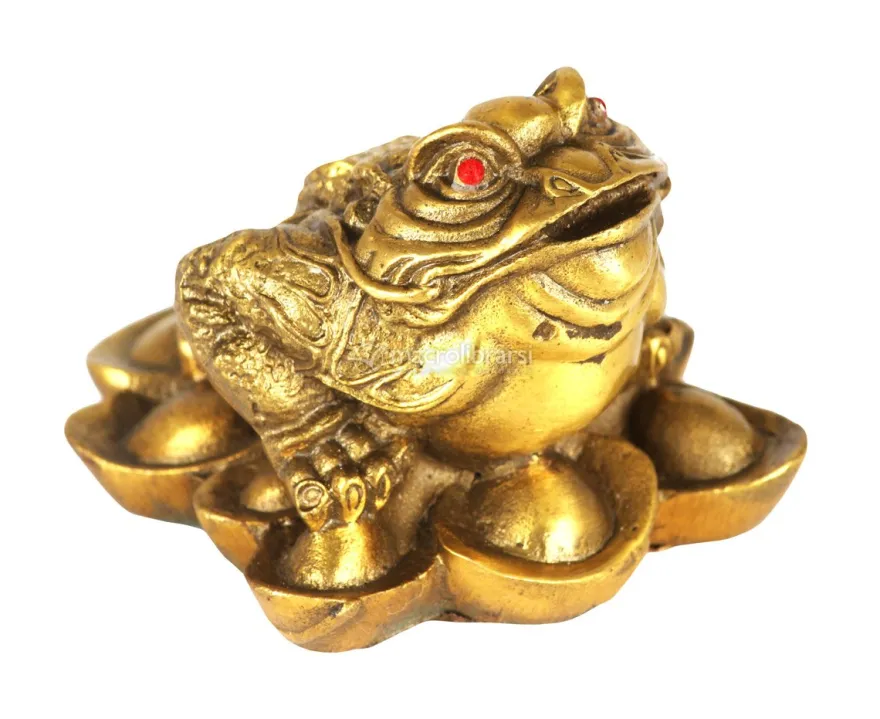 Rana dei Soldi Feng Shui