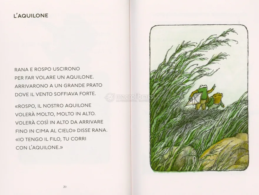 Rana e Rospo all'Avventura