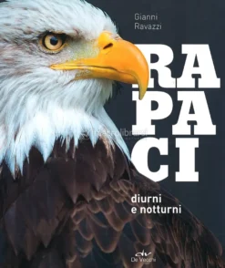 Rapaci - Diurni e Notturni