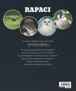 Rapaci - Diurni e Notturni