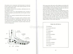 Reflessologia Zu Vol. 3 - Energetica