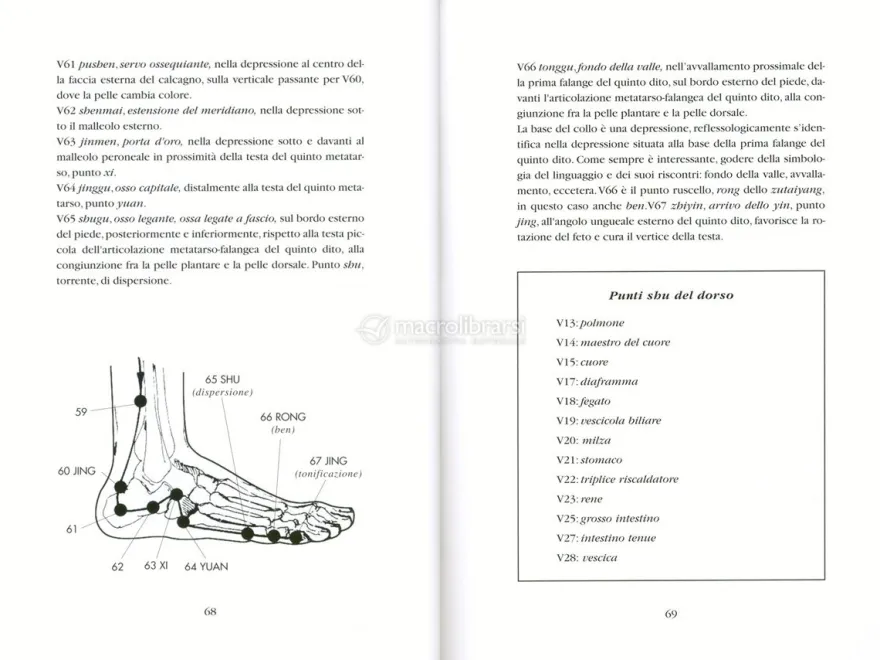 Reflessologia Zu Vol. 3 - Energetica