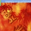 Reiki, Energia e Guarigione