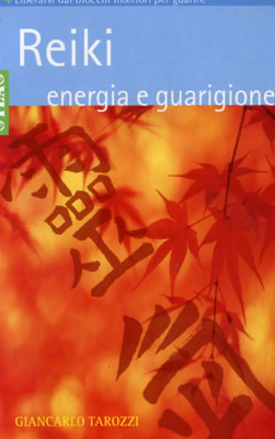 Reiki, Energia e Guarigione