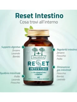 Reset Intestino - Salugea