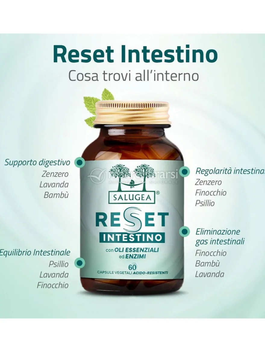 Reset Intestino - Salugea