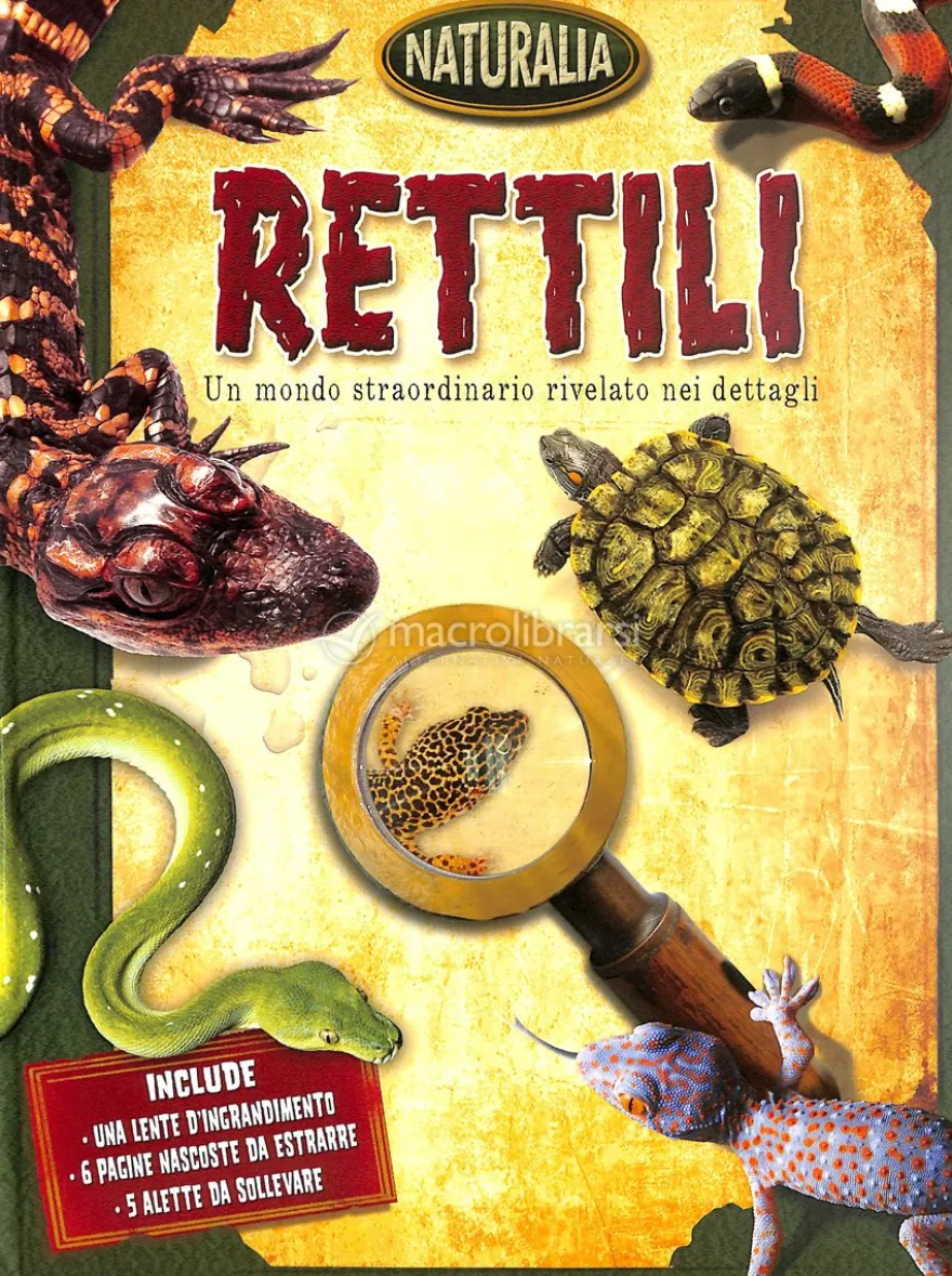 Rettili + Lente