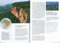 Rewilding, il Nuovo Approccio Radical al Recupero degli Ecosistemi