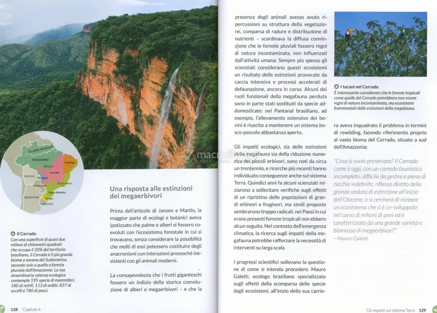 Rewilding, il Nuovo Approccio Radical al Recupero degli Ecosistemi